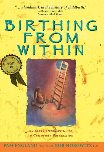 Birthing from Within 書封