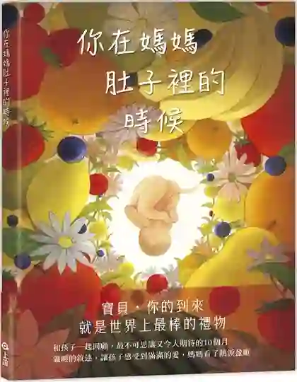 《你在媽媽肚子裡的時候》書封