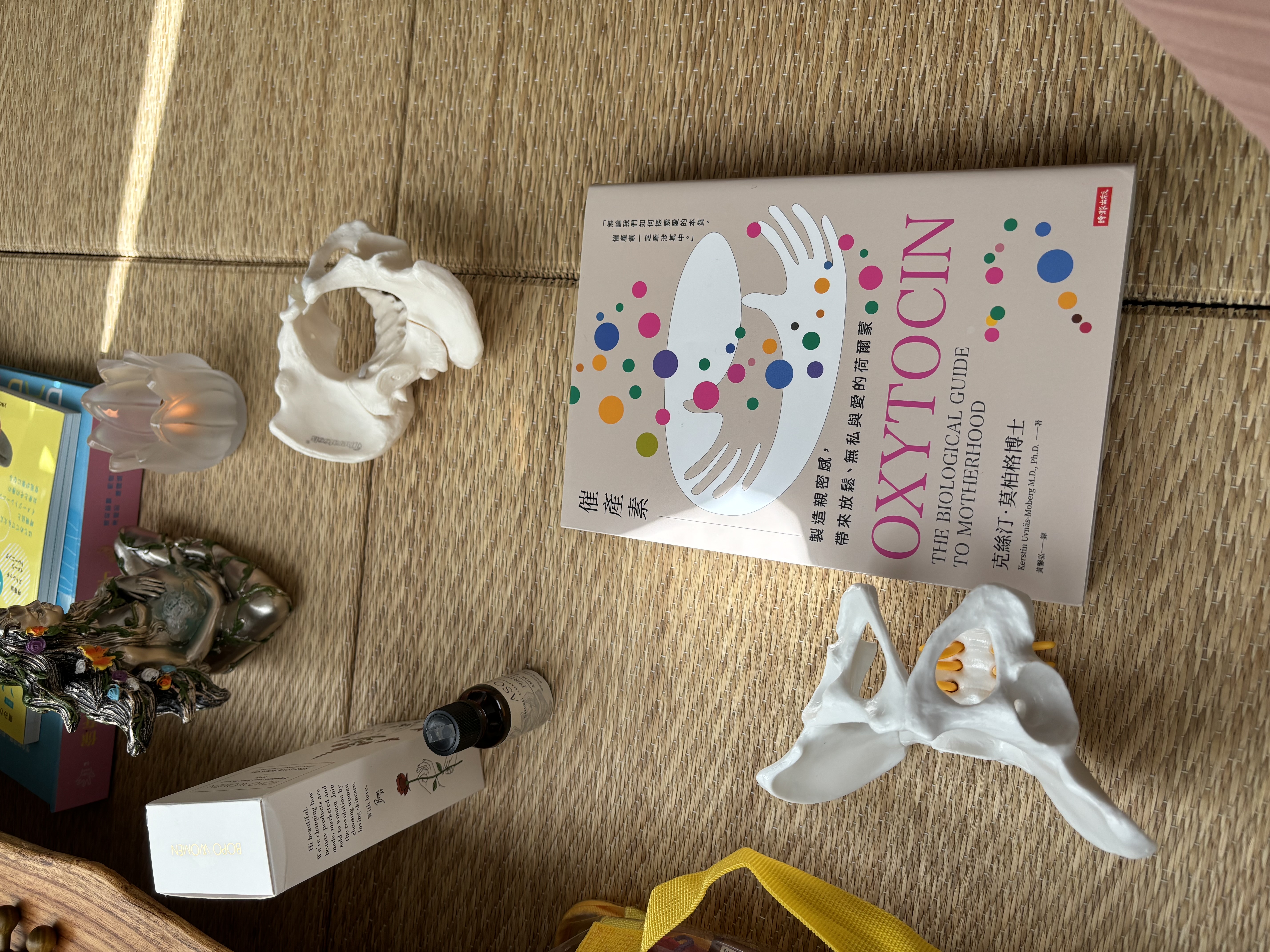 《催產素 Oxytocin》一書與骨盆模型——以實證為基礎、回到身體智慧的孕產學習